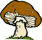 big_mushroom