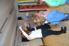 dsc_0419-1024-x-681