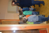dsc_0423-1024-x-681