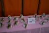 dsc_2694-800-x-532