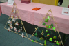 dsc_2697-800-x-532