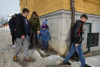 dsc_0354-1024-x-681
