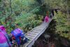 dsc_0021-1024-x-687