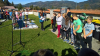 wp_20191025_11_43_39_rich-800-x-450