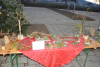 dsc_0348-1024-x-681
