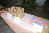 dsc_0349-1024-x-681