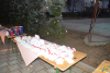 dsc_0350-1024-x-681