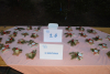 dsc_0352-1024-x-681