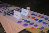 dsc_0353-1024-x-681