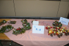 dsc_0357-1024-x-681