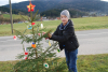 dsc_0382-800-x-537