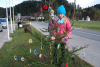 dsc_0384-800-x-537