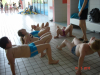 dsc00006-1024x768