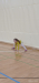 IMG_20230302_135423