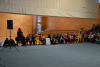 dsc_0587-1024-x-681