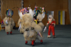 dsc_0598-1024-x-681