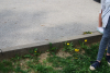 dsc_0122-1024-x-687