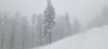 20230307_143927_resized