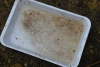 dsc_0390-1024-x-681