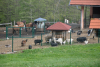 dsc_0400-1024-x-681