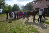 dsc_0404-1024-x-681