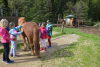 dsc_0405-1024-x-681