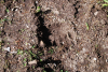 dsc_0138-1024-x-687
