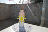 dsc_0140-1024-x-681