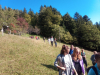 img_20191001_104702_0-800-x-593