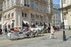 dsc_0154-1024-x-681