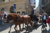 dsc_0155-1024-x-681