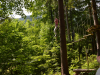 dsc_0659-1024-x-681