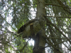 dscn0107-768-x-1024