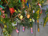dsc_0250-1024-x-681