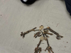 413879643_333802489549880_2310379495493125967_n